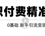 玩转知识付费项目精准引流，给你1套课多账号操作落地方案！-吗喽副业资源站