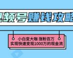 玩转微信视频号赚钱：小白变大咖涨粉百万实现快速变现1000万的现金流-吗喽副业资源站