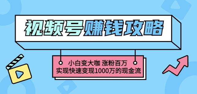 玩转微信视频号赚钱：小白变大咖涨粉百万实现快速变现1000万的现金流-吗喽副业资源站
