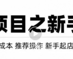 虚拟项目快速起店模式，0成本打造月入几万虚拟店铺！-吗喽副业资源站