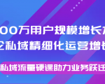8000万用户规模增长方法论私域精细化运营增长，私域流量硬课助力业务跃迁-吗喽副业资源站