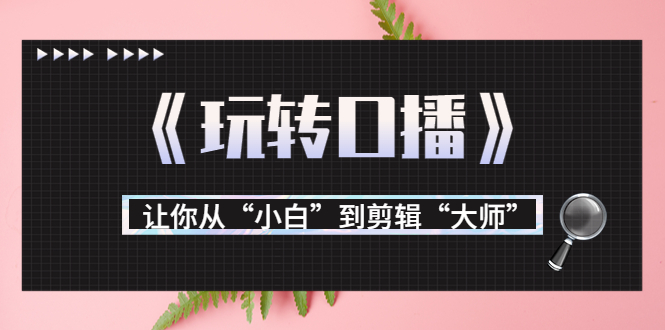 月营业额700万+大佬教您《玩转口播》让你从“小白”到剪辑“大师”-吗喽副业资源站