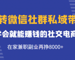 玩转微信社群私域带货，学会就能赚钱的社交电商，在家兼职副业再挣8000+-吗喽副业资源站