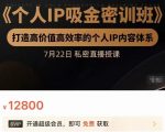 个人IP吸金密训班，打造高价值高效率的个人IP内容体系（价值12800元）-吗喽副业资源站