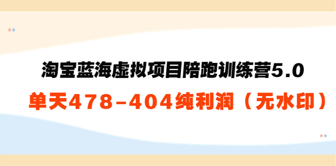 淘宝蓝海虚拟项目陪跑训练营5.0：单天478纯利润-吗喽副业资源站