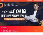 0粉0作品自然流正价起号及稳号全教程，专业自然流起号机构流程化教学（价值2980元）-吗喽副业资源站