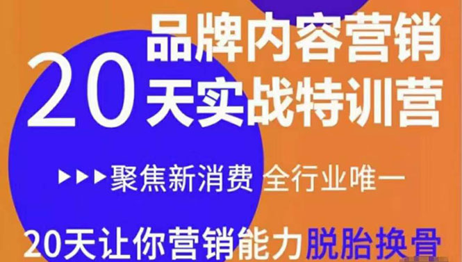 《内容营销实操特训营》20天让你营销能力脱胎换骨（价值3999）-吗喽副业资源站