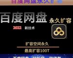 百度网盘无限扩容技术，外面卖399的，无论自己用还是用做引流都可以-吗喽副业资源站