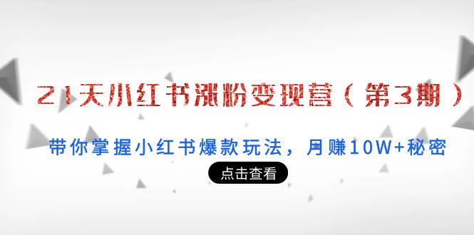 21天小红书涨粉变现营（第3期）：带你掌握小红书爆款玩法，月赚10W+秘密-吗喽副业资源站