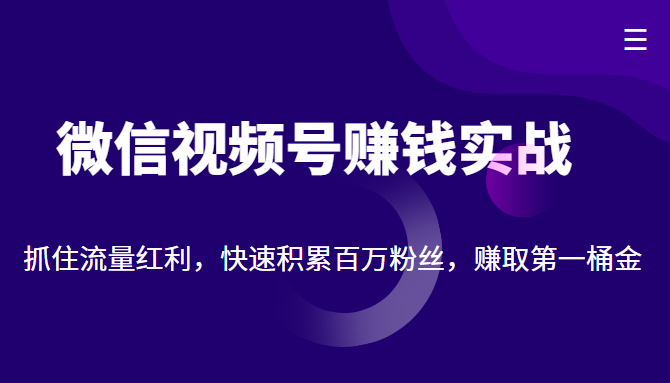 微信视频号赚钱实战：抓住流量红利，快速积累百万粉丝，赚取你的第一桶金-吗喽副业资源站