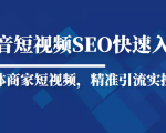 抖音短视频Seo搜索排名优化新手快速入门教程，实体商家短视频，精准引流实操课-吗喽副业资源站