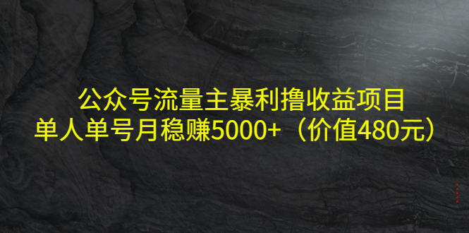 公众号流量主暴利撸收益项目，单人单号月稳赚5000+（价值480元）-吗喽副业资源站