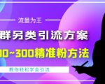 价值888的QQ群另类引流方案，半自动操作日200~300精准粉方法【视频教程】-吗喽副业资源站