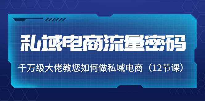 私域电商流量密码：千万级大佬教您如何做私域电商（12节课）-吗喽副业资源站