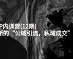 新媒体IP内训营(12期)，一套全新的“公域引流，私域成交”IP打法，直接带走-吗喽副业资源站