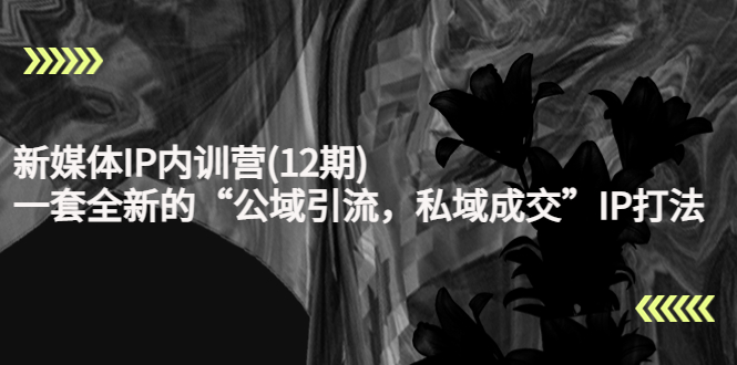 新媒体IP内训营(12期)，一套全新的“公域引流，私域成交”IP打法，直接带走-吗喽副业资源站