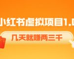 《小红书虚拟项目1.0》账号注册+养号+视频制作+引流+变现，几天就赚两三千-吗喽副业资源站