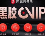 网易云音乐撸黑胶年卡及变现方法，收益可无限放大-吗喽副业资源站