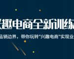 兴趣电商全新训练营：打破品销边界，带你玩转“兴趣电商“实现业务增长-吗喽副业资源站
