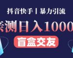日收益1000+的交友盲盒副业丨有手就行的抖音快手暴力引流-吗喽副业资源站