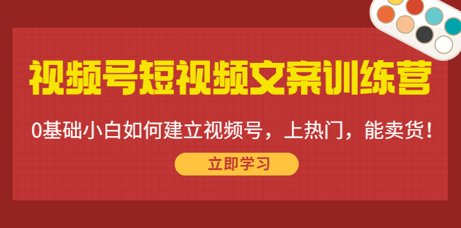 视频号短视频文案训练营：0基础小白如何建立视频号，上热门，能卖货！-吗喽副业资源站