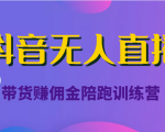 抖音无人直播带货赚佣金陪跑训练营（价值6980元）-吗喽副业资源站