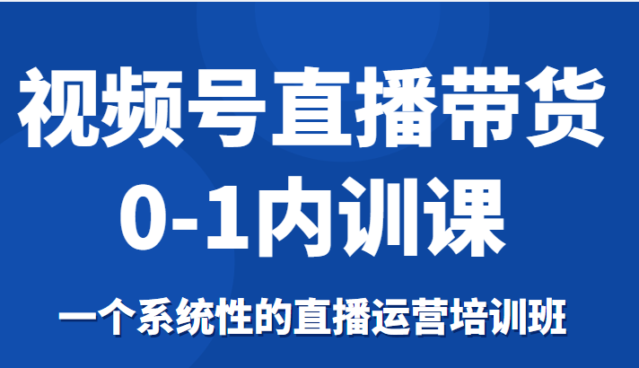 视频号直播带货0-1内训课，一个系统性的直播运营培训班-吗喽副业资源站