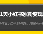 21天小红书涨粉变现营（第4期）：带你掌握小红书爆款玩法，月赚10W+秘密-吗喽副业资源站