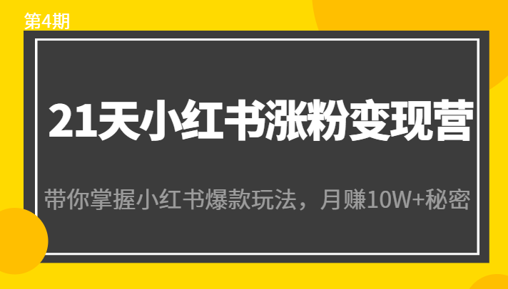 21天小红书涨粉变现营（第4期）：带你掌握小红书爆款玩法，月赚10W+秘密-吗喽副业资源站