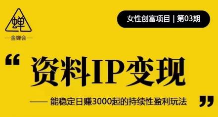 资料IP变现，能稳定日赚3000起的持续性盈利玩法-吗喽副业资源站