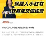 保险人小红书获客成交训练营，0基础高效玩转小红书，可复制的获客成交之路-吗喽副业资源站