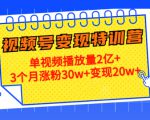 21天视频号变现特训营：单视频播放量2亿+3个月涨粉30w+变现20w+（第14期）-吗喽副业资源站