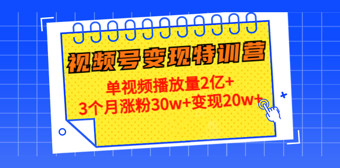 21天视频号变现特训营：单视频播放量2亿+3个月涨粉30w+变现20w+（第14期）-吗喽副业资源站