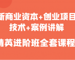 新商业资本+创业项目，技术+案例讲解，精英进阶班全套课程-吗喽副业资源站