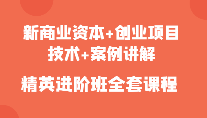 新商业资本+创业项目，技术+案例讲解，精英进阶班全套课程-吗喽副业资源站