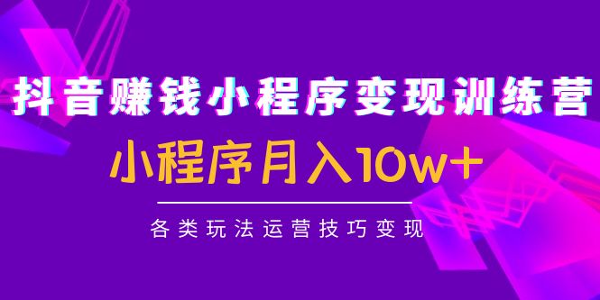 抖音赚钱小程序变现训练营：小程序月入10w+各类玩法运营技巧变现-吗喽副业资源站