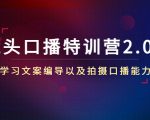 镜头口播特训营2.0版，学习文案编导以及拍摄口播能力（50节课时）-吗喽副业资源站
