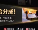 2022年最新中视频变现最稳最长期的项目，一个账号月入几万很简单-吗喽副业资源站