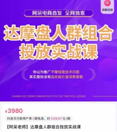 阿呆电商·达摩盘人群组合投放实战课，你以为推广不赚钱是技术问题，其实是你没有选好高价值消费客群-吗喽副业资源站