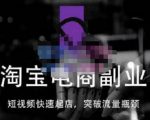 蓝Sir派·淘宝短视频快速起店，替代传统搜索方式，学会做一个不一样的淘宝店-吗喽副业资源站