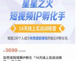 瑶瑶·自然流短视频IP孵化第二期，14天线上实战训练营，赋能100个人成为有数据能赚钱的独立IP孵化手-吗喽副业资源站