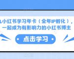 厦九九小红书学习年卡（全年IP孵化），沉浸式学习，一起成为有影响力的小红书博主-吗喽副业资源站