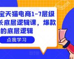 大圣淘宝天猫电商1-7层级盈利增长底层逻辑课，爆款的底层逻辑-吗喽副业资源站