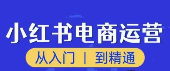 顽石小红书电商高阶运营课程，从入门到精通，玩法流程持续更新-吗喽副业资源站