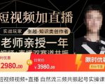 张越·短视频+直播，自然流三频共振起号实操课，​短视频所有流量玩法讲解-吗喽副业资源站