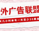 外面收费1980的最新国外LEAD广告联盟搬砖项目，单号一天至少30美金【详细玩法教程】-吗喽副业资源站