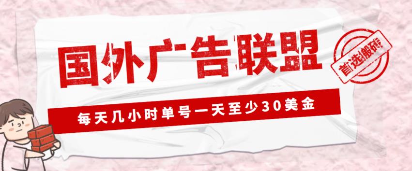 外面收费1980的最新国外LEAD广告联盟搬砖项目，单号一天至少30美金【详细玩法教程】-吗喽副业资源站