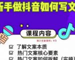 新手做抖音如何写文案，手把手实操如何拆解热门文案-吗喽副业资源站