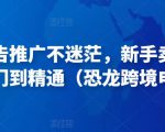 亚马逊广告推广不迷茫,新手卖家产品运营入门到精通(恐龙跨境电商)-吗喽副业资源站