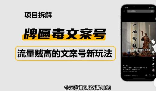2023抖音快手毒文案新玩法，牌匾文案号，起号快易变现-吗喽副业资源站